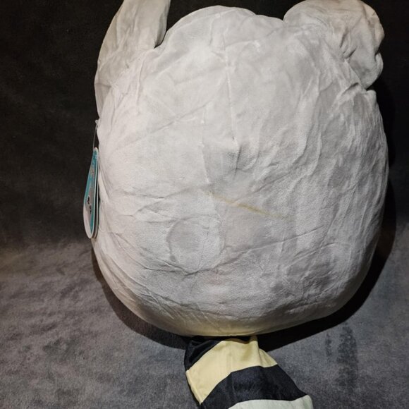 Max the Raccoon - Picture 2 of 2